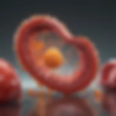 Visual Representation of LDL Cholesterol Structure LDL Cholesterol Structure