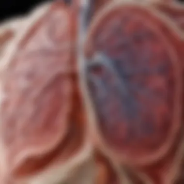 Visual representation of lung pathology associated with pre-emphysema