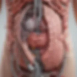 Illustration depicting the complex mechanisms behind urinary tract infections