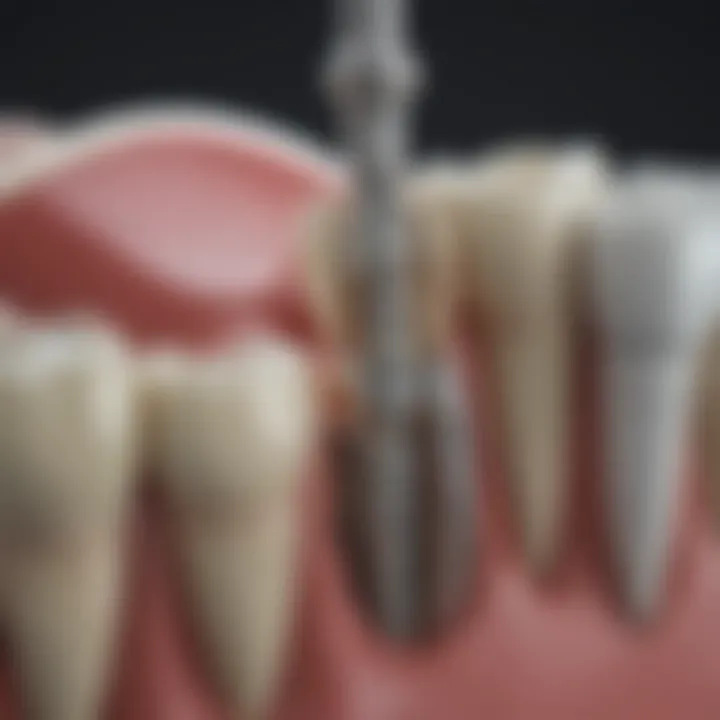 Visualization of the root canal cleaning procedure