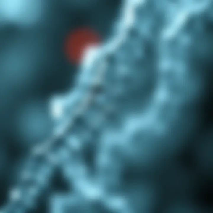 Molecular structure of the HBB gene mutation