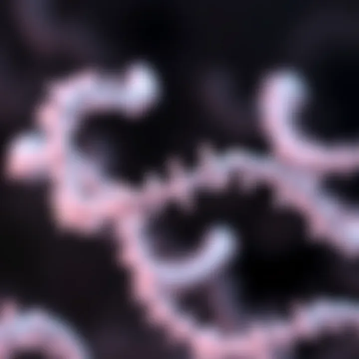 siRNA Applications in Therapy Applications of siRNA in therapeutic contexts