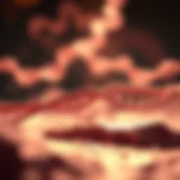 Visual representation of siRNA biogenesis