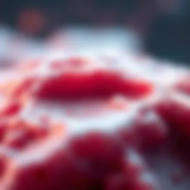 Detailed illustration of squamous cells showing characteristics