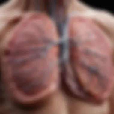 Diagnosis of Staph Infection in the Lungs Chart presenting diagnostic methods for staph infections in respiratory health