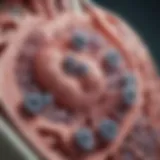 Illustration showing the mechanism of staphylococcal bacteria affecting lung tissue