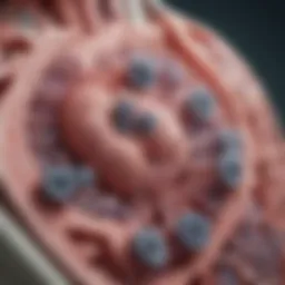 Illustration showing the mechanism of staphylococcal bacteria affecting lung tissue