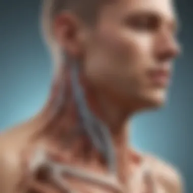 Diagnostic Techniques for Synovial Cysts Diagnostic imaging revealing synovial cysts in the spine