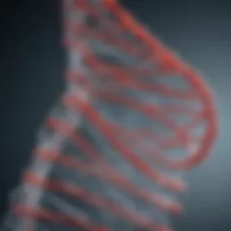 Taq DNA polymerase structure representation