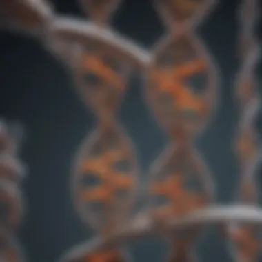The Mechanism of Base Pairing in DNA Diagram illustrating base pairing in DNA