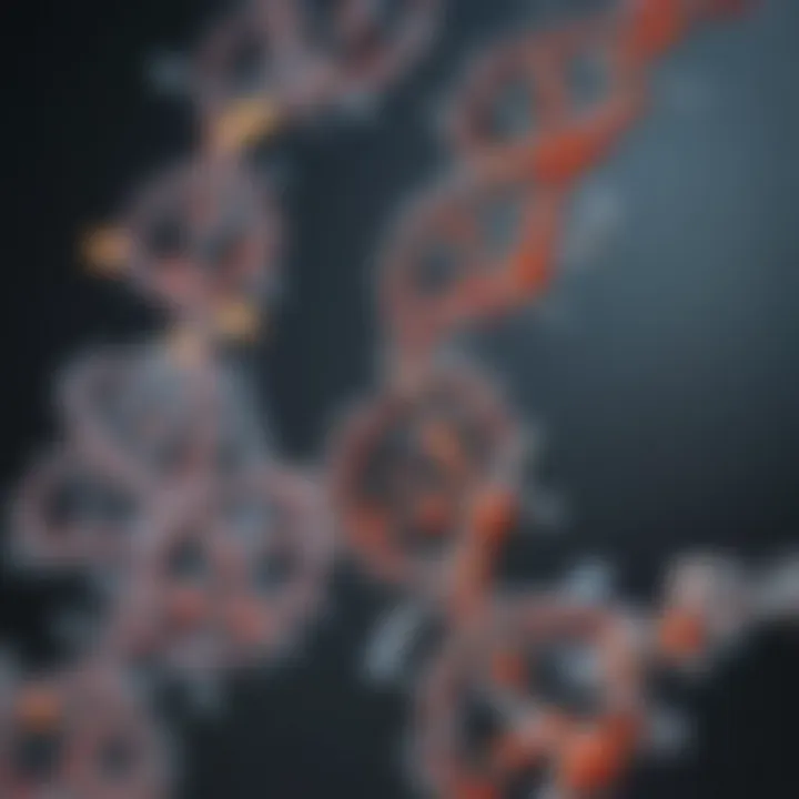 Chemical structure of the four DNA bases