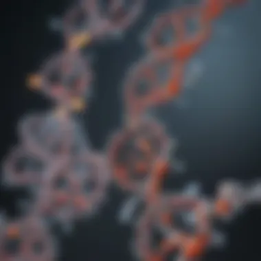 The Biochemical Foundations of DNA Bases Chemical structure of the four DNA bases