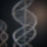 Illustration of DNA double helix structure highlighting the bases
