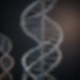 Illustration of DNA double helix structure highlighting the bases