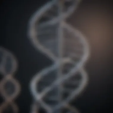 The Iconic Structure of DNA Illustration of DNA double helix structure highlighting the bases