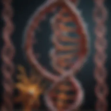 Representation of DNA mutations and their effects on evolution