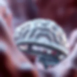 Illustration of the brain barrier structure