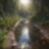 Phosphorus cycle in nature