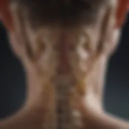 Anatomical diagram illustrating cervical discs and vertebrae alignment.