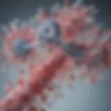 Diagram illustrating mRNA vaccine mechanism