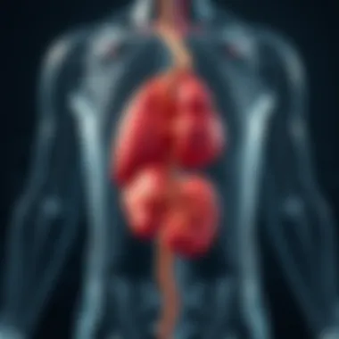 Mechanism of Action of Losartan Diagram illustrating losartan's mechanism of action in the body