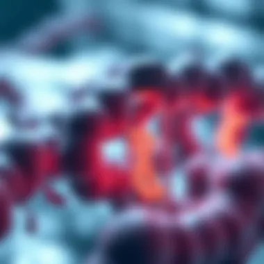 Recent advancements in PARP inhibitor applications in oncology