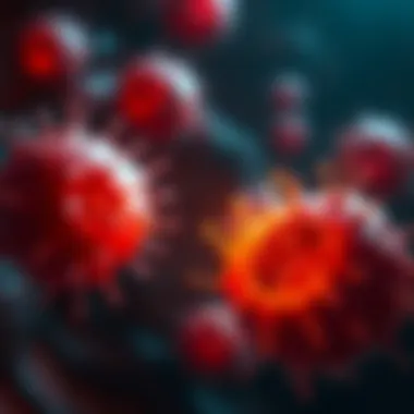 Diagram showing the interaction of PARP inhibitors with tumor cells