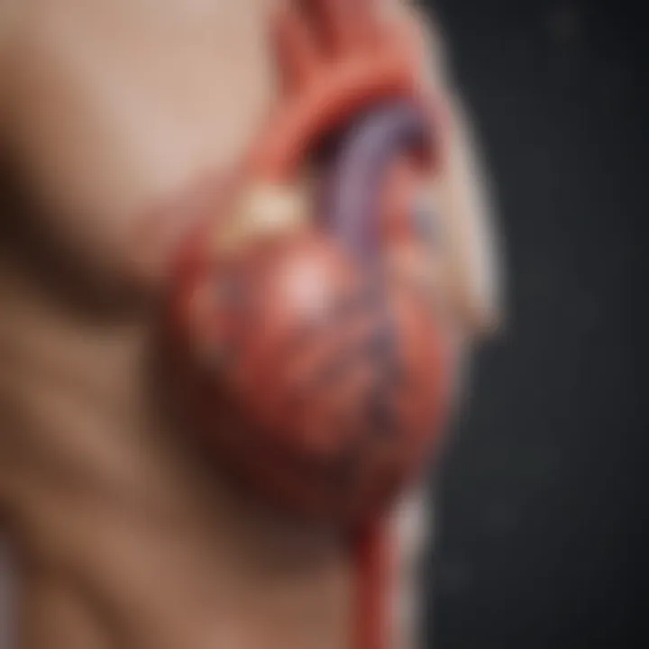 Infographic summarizing the clinical implications of Entresto in heart failure management