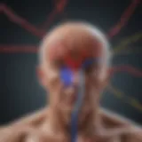 Diagram illustrating the connection between diabetes and stroke risk.