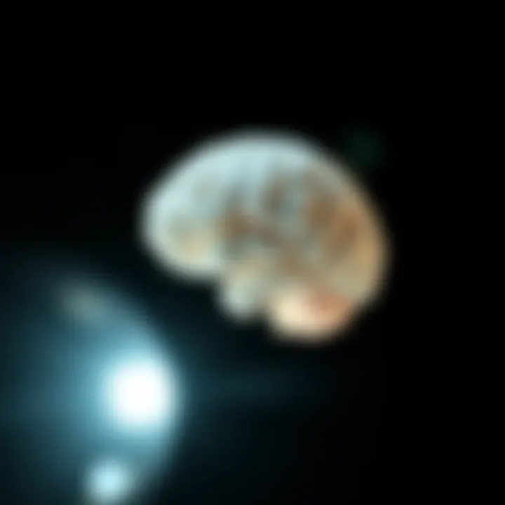 Understanding the Odds of Surviving Glioblastoma Summary