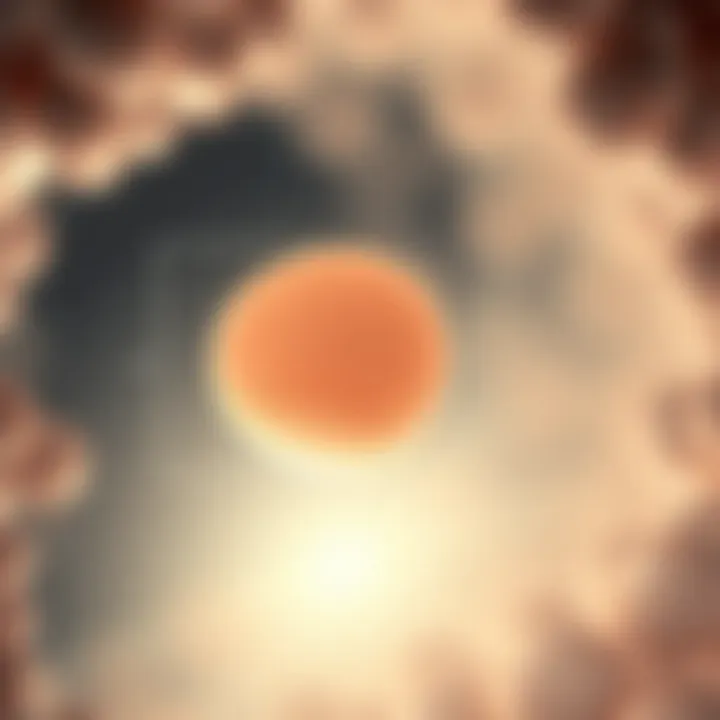 Graphical representation of the growth milestones of an embryo during the first trimester.