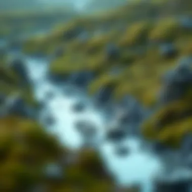 Natural landscape showing mercury contamination