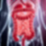 Anatomical Overview of the Transverse Colon Detailed illustration of the anatomy of the transverse colon