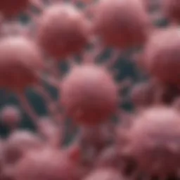 Visual representation of vulvar cancer cells under a microscope