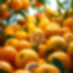 Vibrant assortment of Vitamin C-rich citrus fruits